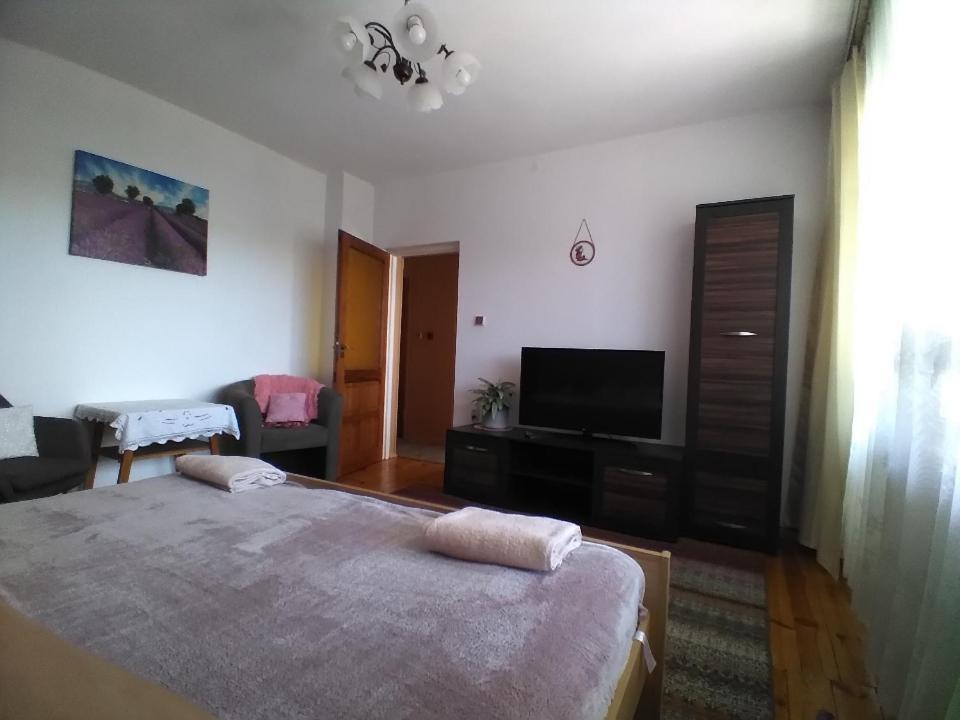 Przy Starej Lipie Apartamento Augustów Exterior foto